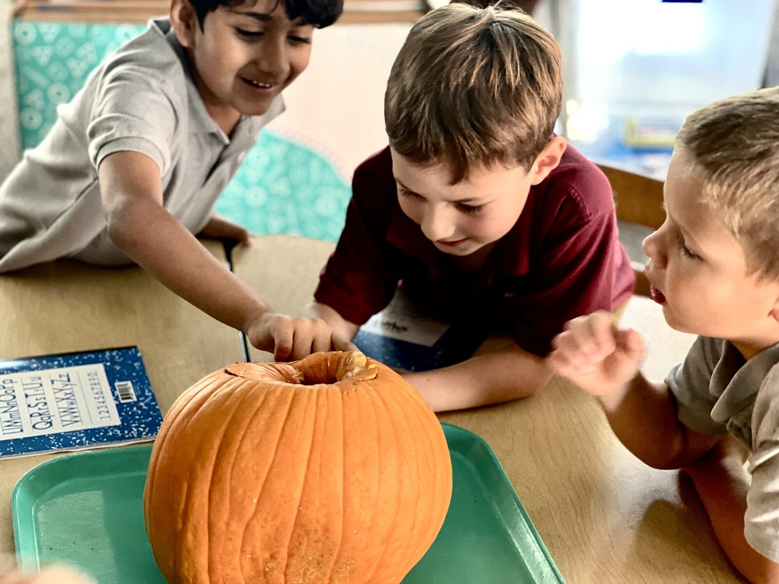 Students exploring a pumpkin in class