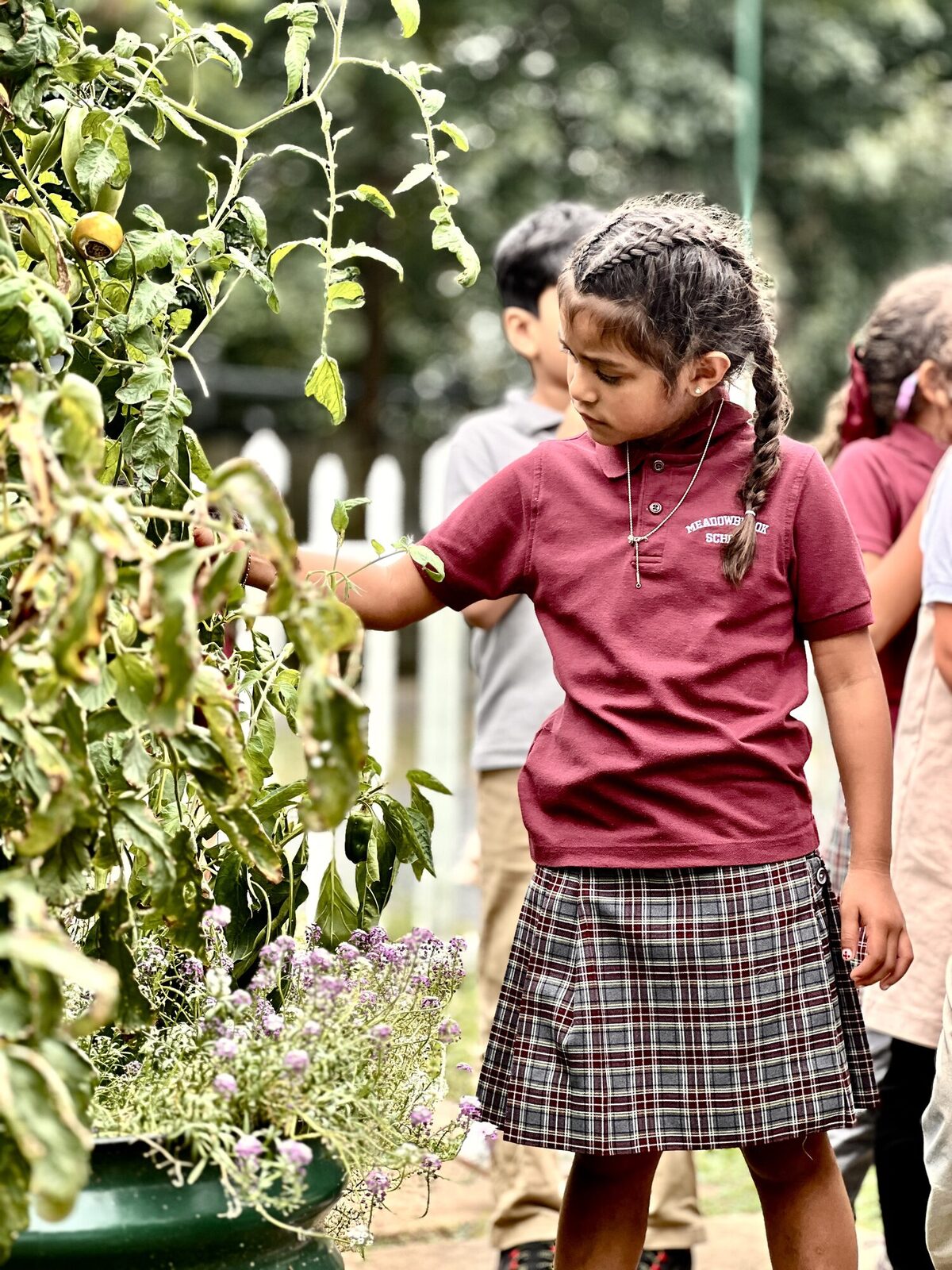 Student observing a plant outdoors